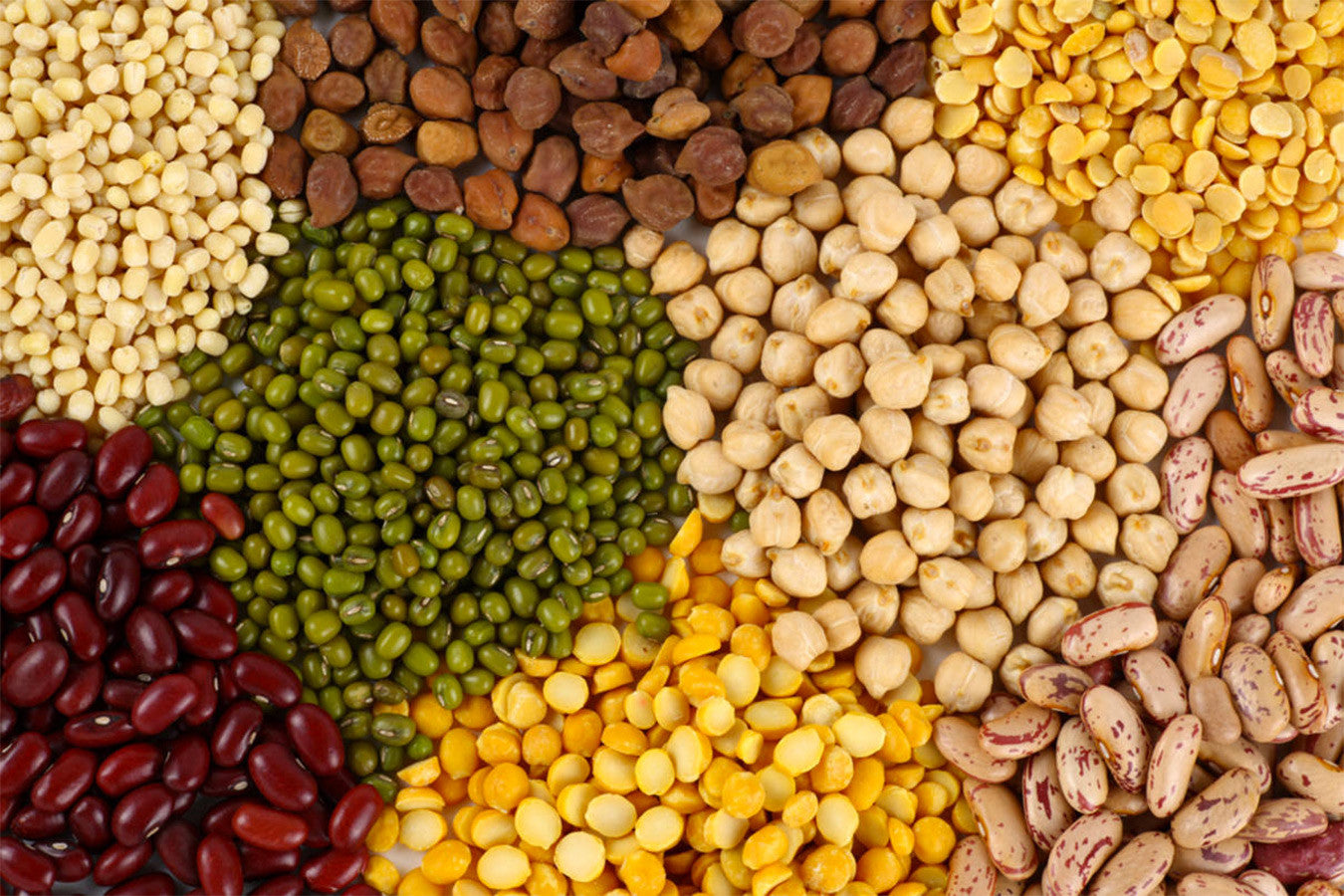 Organic Beans & Peas